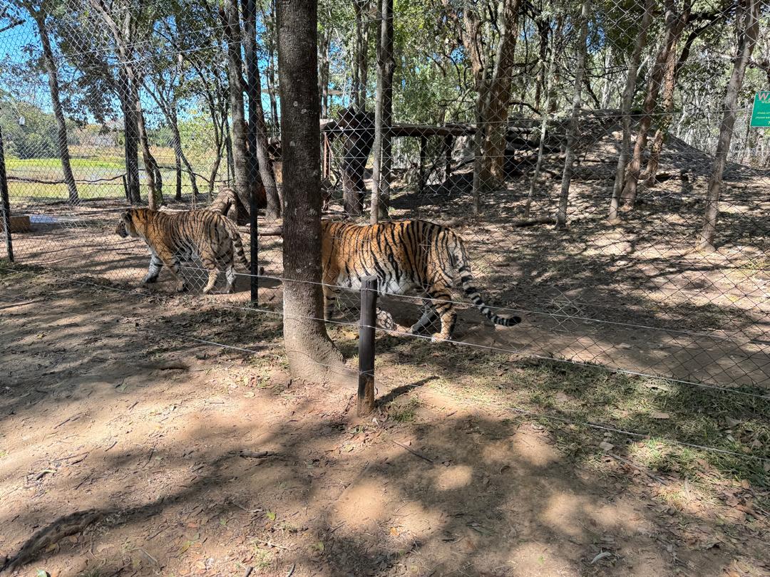 Harmony Junior School